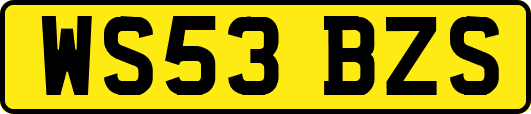 WS53BZS