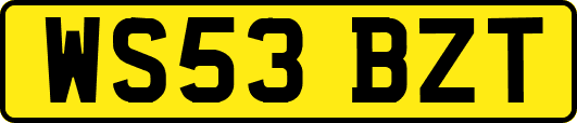 WS53BZT