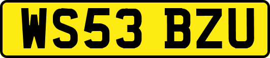 WS53BZU