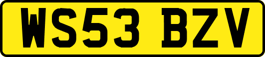 WS53BZV