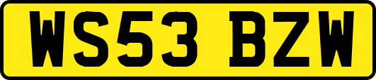 WS53BZW