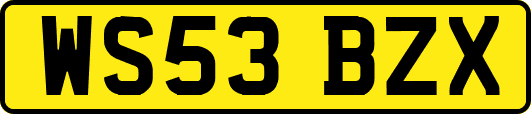WS53BZX