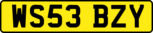 WS53BZY