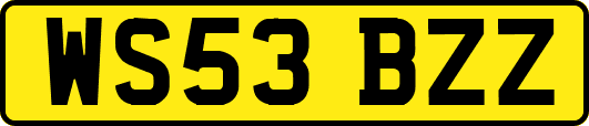 WS53BZZ