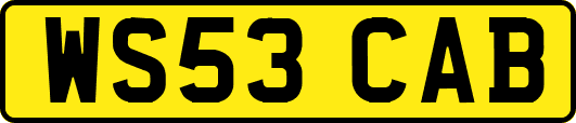 WS53CAB