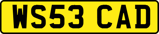 WS53CAD