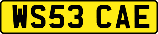 WS53CAE