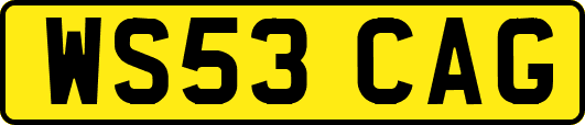 WS53CAG