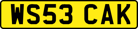 WS53CAK