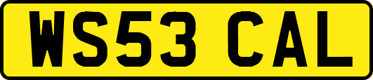 WS53CAL