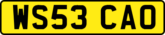 WS53CAO