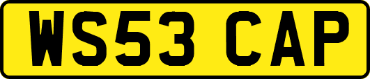 WS53CAP