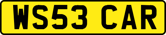 WS53CAR