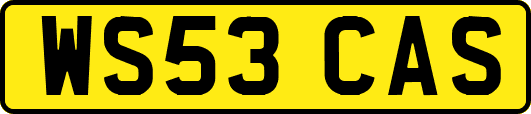 WS53CAS
