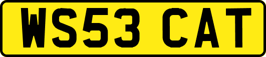 WS53CAT