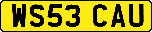 WS53CAU