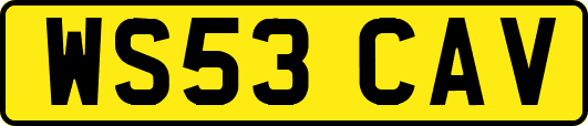 WS53CAV