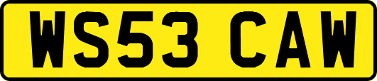 WS53CAW