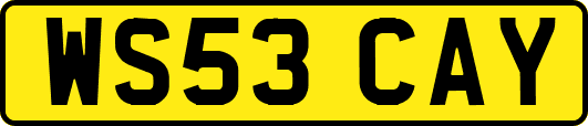 WS53CAY