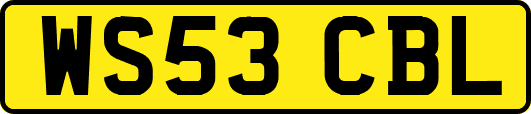 WS53CBL