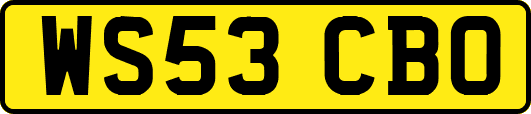 WS53CBO