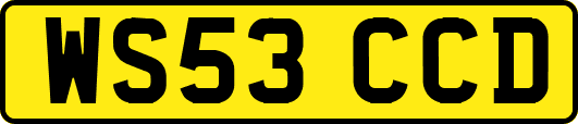 WS53CCD