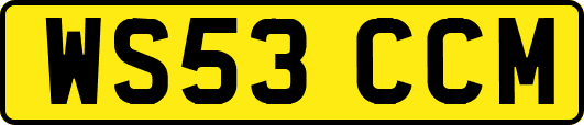 WS53CCM