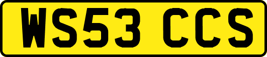 WS53CCS