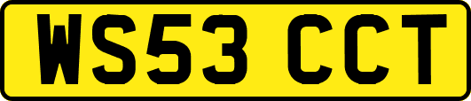 WS53CCT