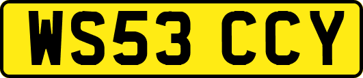 WS53CCY