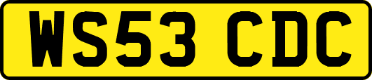WS53CDC