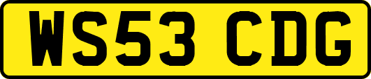 WS53CDG