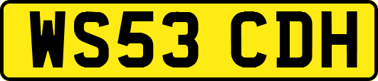 WS53CDH
