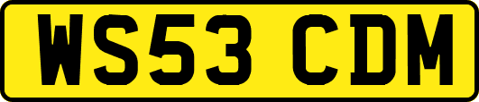 WS53CDM