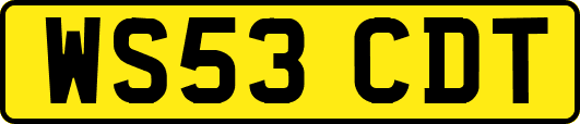 WS53CDT
