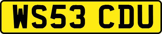 WS53CDU