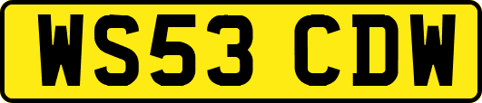 WS53CDW