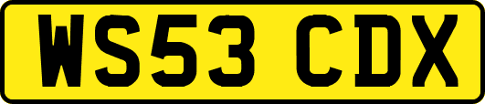 WS53CDX