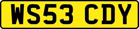 WS53CDY