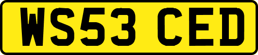 WS53CED