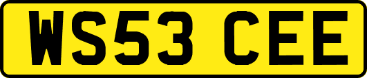 WS53CEE