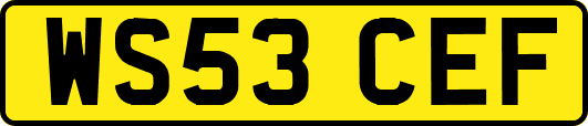 WS53CEF
