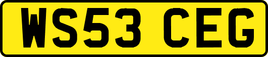 WS53CEG