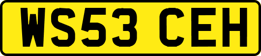 WS53CEH