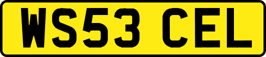 WS53CEL