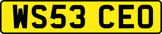 WS53CEO