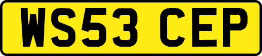 WS53CEP