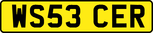 WS53CER