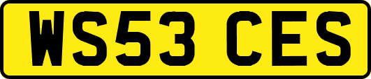 WS53CES