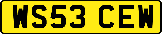 WS53CEW